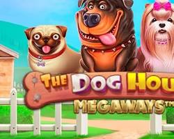 Image of Dawg Doggy Den Megaways slot game