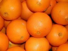 Image result for canned citrus
