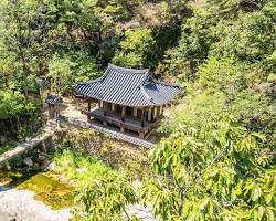 안동 만휴정 외나무다리 풍경 사진, AI로 생성