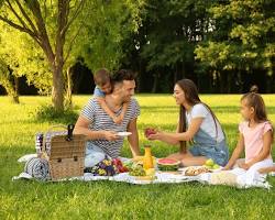 Picnic in the park