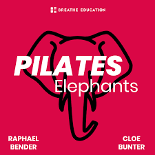 Pilates Elephants