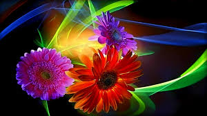 Image result for flowers wallpapers 3d