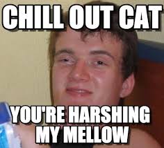 Chill Out Cat - 10 Guy meme on Memegen via Relatably.com