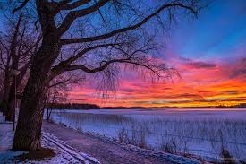Image result for winter photos