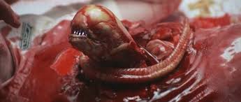 Image result for tequila worms sick