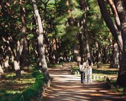 경북 청도군 여행지 운문사 청도프로방스 청도읍성 와인터널, AI로 생성