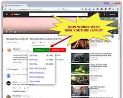 Easy YouTube Video Downloader Express