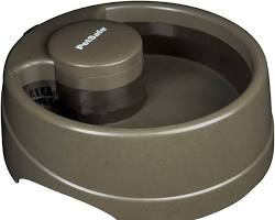 PetSafe Current Circulating Dog and Cat Water Fountain, Forest, Medium, 80 oz.