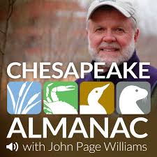 Chesapeake Almanac