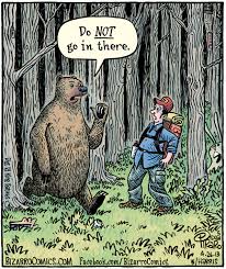 Bildresultat för do the bear poop in the woods
