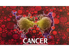 Image result for kanker