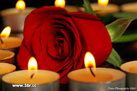 أجمل  الورود الحمراء  في العالم    Images?q=tbn:ANd9GcQputgyAAvbj5zOyiOcWrZloSv_4muuI-78FkhVCkJos2pG0jux