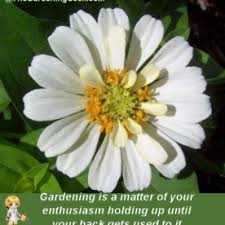 Inspirational Sayings Archives - The Gardening Cook via Relatably.com