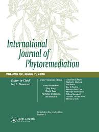 Improving zinc phytoremediation characteristics in Salix pedicellata ...
