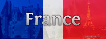 Image result for french flag
