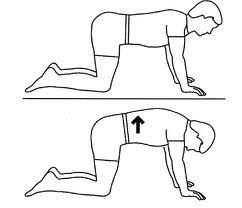 Image result for middle back stretches