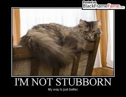 Stubborn | Demotivational Poster Memes- Black Frame Fame via Relatably.com