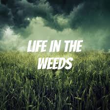 Life In The Weeds