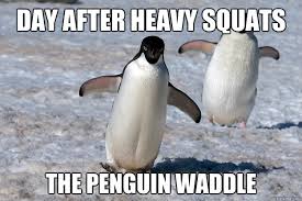 Image result for squat funny pictures