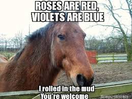 9 Memes That Show How Your Horse Feels About Valentine&#39;s Day ... via Relatably.com