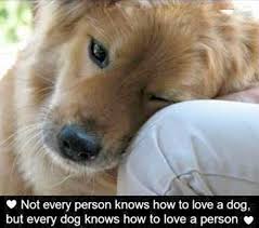 Dog Quotes Love | Quotes about Love via Relatably.com