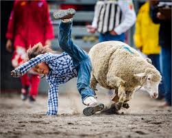 Image result for animals as cowboys