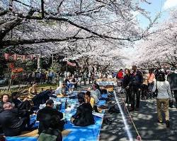 Image of Ueno Park di Tokyo