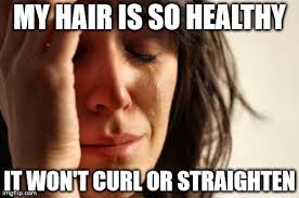 After cutting off six inches of dry, heat-damaged hair.. - Imgflip via Relatably.com