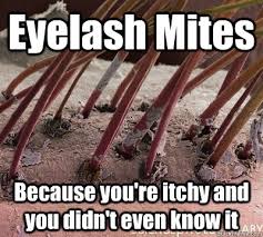 Eyelash Mites Because you&#39;re itchy and you didn&#39;t even know it ... via Relatably.com