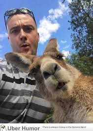 My cousin wanted a selfie with a kangaroo. | Funny Pictures ... via Relatably.com