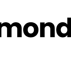 Bild på Monday.com logo