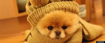 Résultat de recherche d'images pour