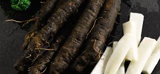 Unusual Roots: How to Grow Salsify and Scorzonera