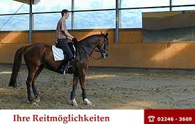Reitstall Sebastian Broich - Pensionspferde - head_reit