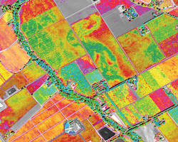 Image de Satellite imagery of crops