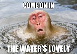COME ON IN THE WATER&#39;S LOVELY - Misc - quickmeme via Relatably.com