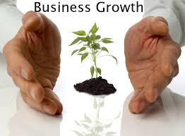 Image result for BUSINESS GROWTH