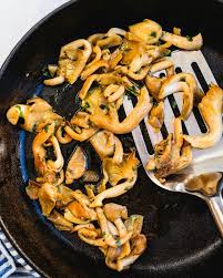 Oyster Mushrooms (Info & Recipe!) – A Couple Cooks