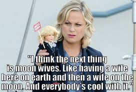 Amy Poehler Quotes, Are These Real or Fake? via Relatably.com