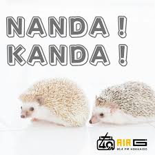 NANDA！KANDA！