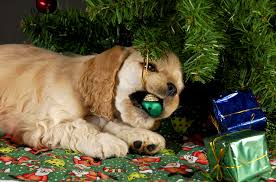 Image result for dog destroys christmas tree