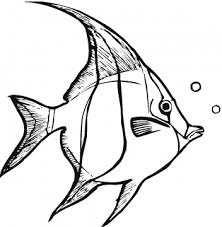 fish coloring pages ile ilgili görsel sonucu