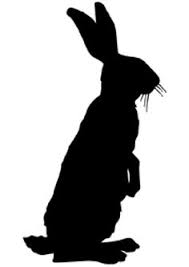 Image result for rabbit standing up