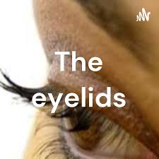 The eyelids
