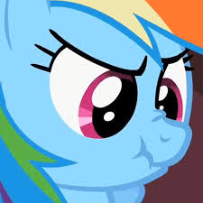 My little pony: Friendship is magic - Rainbow dash meme