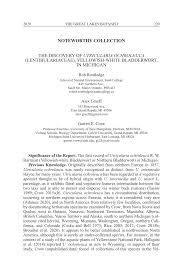 (PDF) The discovery of Utricularia ochroleuca (Lentibulariaceae ...