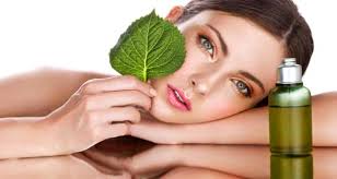 Natural Herbs for Glowing And Beautiful Skin2 Sandalwood. It&#39;s rejuvenating &amp; anti toxic properties. It cures heat related skin problems. it&#39;s a regular ... - Natural-Herbs-for-Glowing-And-Beautiful-Skin2