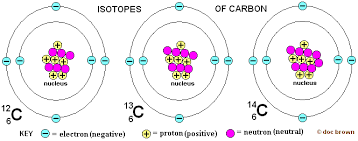 Image result for isotopes of carbon