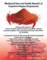 Image result for cayenne pepper propiedades medicinales