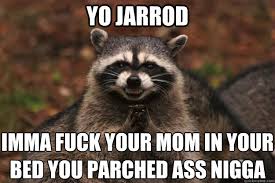 Evil Plotting Raccoon memes | quickmeme via Relatably.com